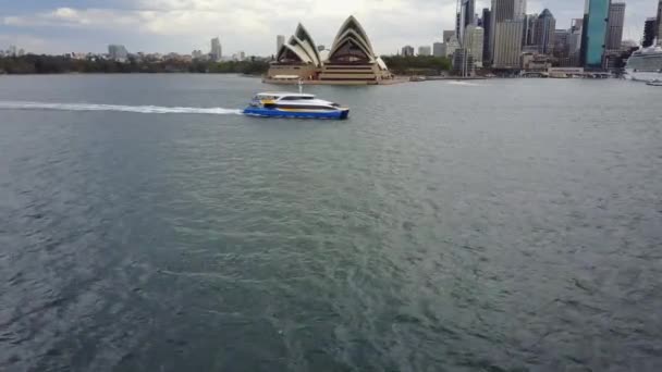Location Circulay Quay Sydney Harbour Here You Can See Ferry — Stock Video