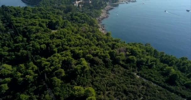 Lokrum Island Croatia Filmed Air — Stockvideo
