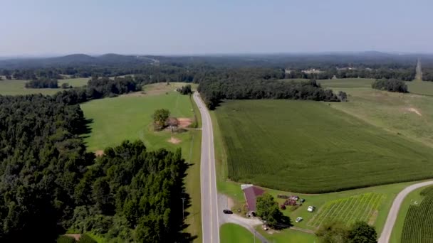 Aerial View Country Road Cars Commuting Cornfields Trees Surrounding Nice — Wideo stockowe