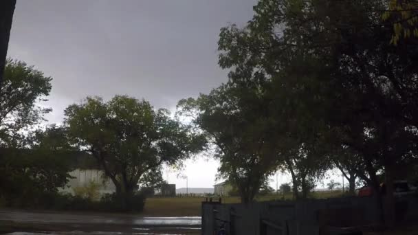 Wind Blowing Some Trees Front Home Cold Rainy Day — Vídeo de Stock