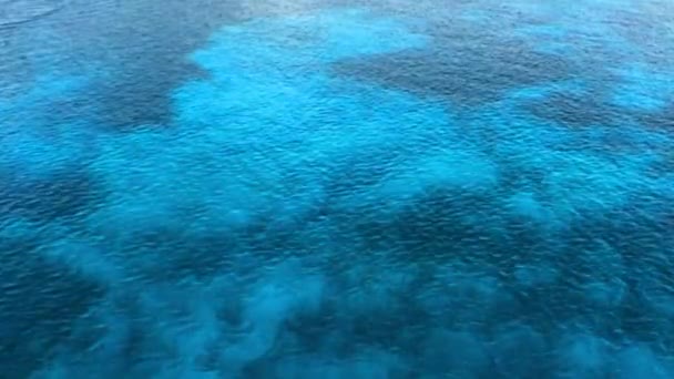 Футів Чистої Блакитної Води Підлоги Гавані Можете Побачити Деталі Рифів — стокове відео