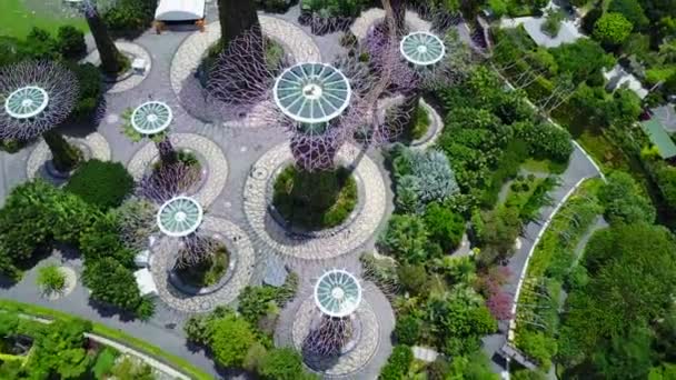 Flight Those Skygarden Trees You Can See Small Bar Top — Stock videók