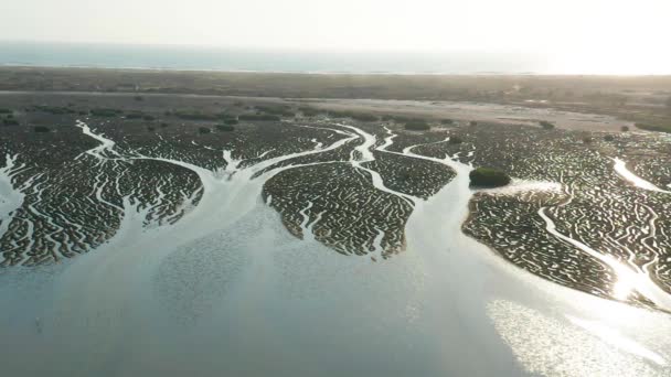 Muddy Zone End Long Bay Channels Formed Tides — Vídeos de Stock