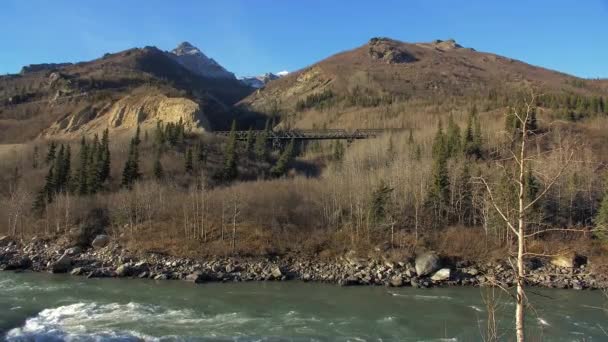 River Train Bridge Side Mountain Alaska — Αρχείο Βίντεο