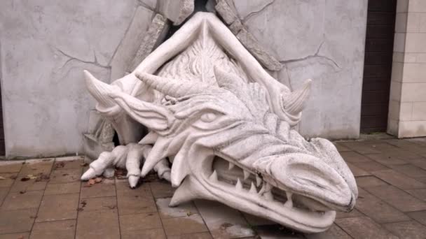 Famous Dragon Statue Nyrbator Hungary — 图库视频影像