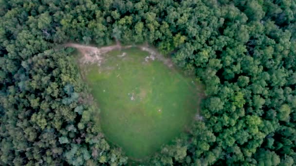 Drone Footage Flying Yonah Georgia — Wideo stockowe