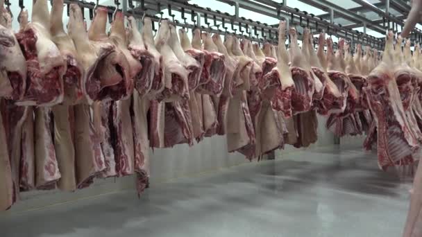 Свинина Употребляется Пищу Свежеприготовленная Консервированная Лечение Продлевает Срок Годности Свиных — стоковое видео