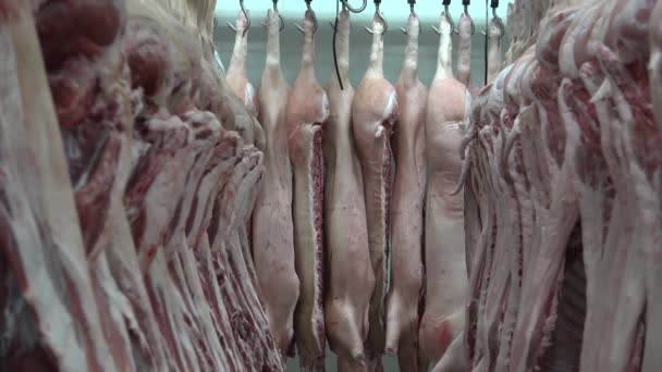 Pork Eaten Both Freshly Cooked Preserved Curing Extends Shelf Life — Vídeo de stock