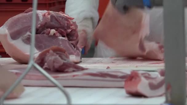Pork Eaten Both Freshly Cooked Preserved Curing Extends Shelf Life — Stockvideo