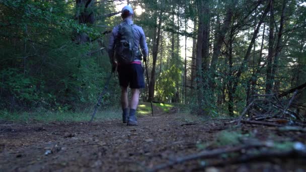 Low Angle Ground Shot Man Hiking Trail Trekking Poles Backpack — стоковое видео