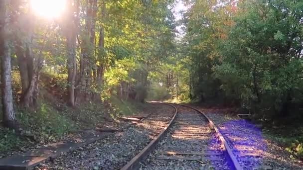 Old Train Tracks Forest Fall Sun Shining Trees — Stok video