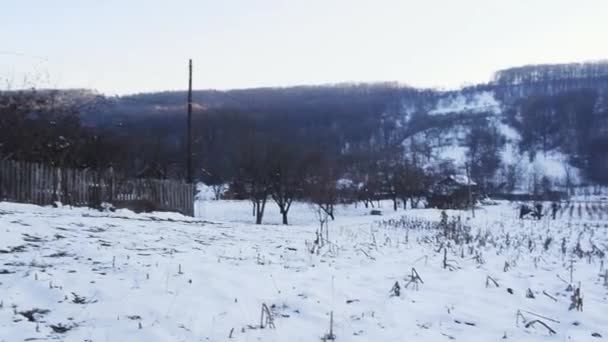 Сельский Пейзаж Большой Площадью Покрытой Снегом — стоковое видео