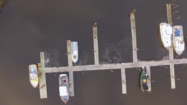 Drone Aerial Descending Boats Docked Marina — Stockvideo
