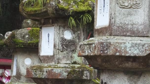 Vue Rapprochée Des Sanctuaires Dans Parc Nara Japon — Video