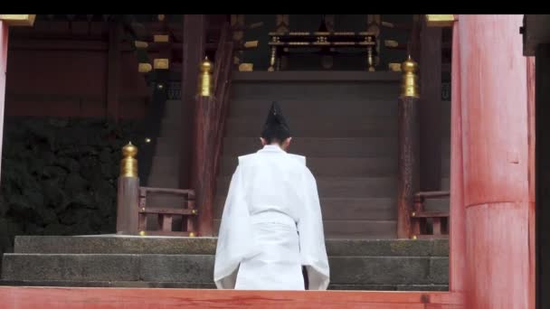 Nara 一个修道院里的日本和尚 — 图库视频影像