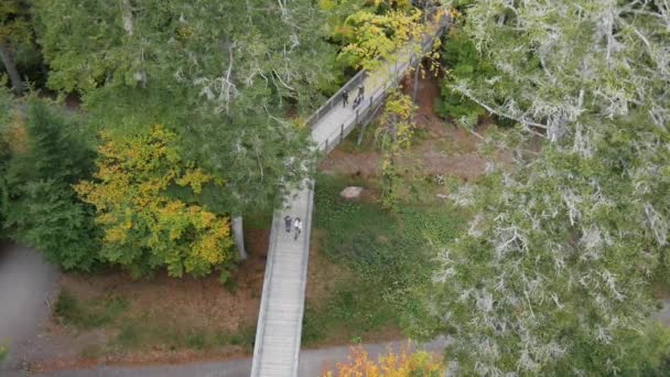 Бад Вильдбад Германия Вид Сверху Вершину Дерева Прогулка Бад Вильдбад — стоковое видео
