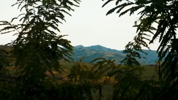 時間経過 ルエンツォリ山脈 ウガンダ — ストック動画