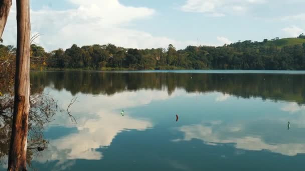 ウガンダ キビレ島ニャビケレ湖の眺め — ストック動画