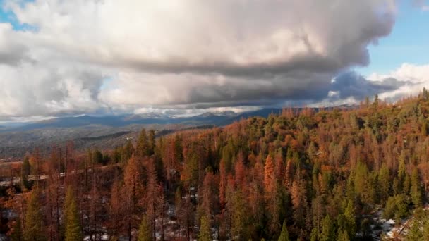 Vista Aérea Montanhas Floresta Após Uma Tempestade Inverno — Vídeo de Stock