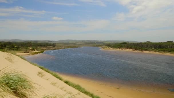 Still Shot Powlet River Sand Dunes — Stockvideo