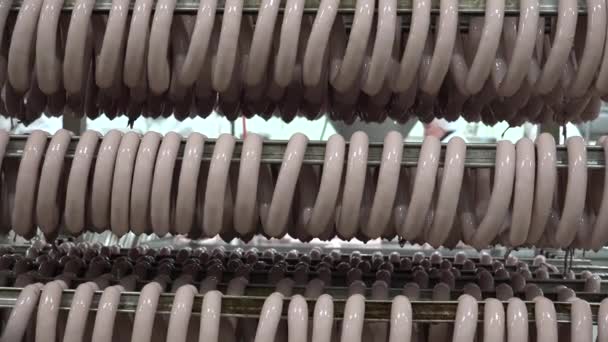 Sausage Cylindrical Meat Product Usually Made Ground Meat Often Pork — Video
