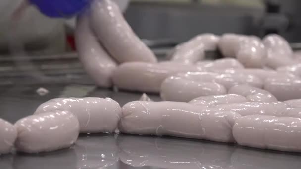 Sausage Cylindrical Meat Product Usually Made Ground Meat Often Pork — Stockvideo