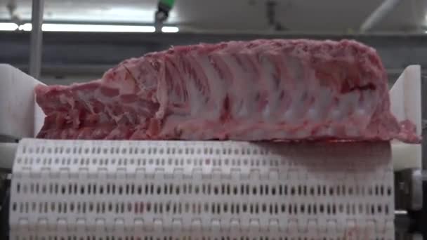 Pork Eaten Both Freshly Cooked Preserved Curing Extends Shelf Life — ストック動画