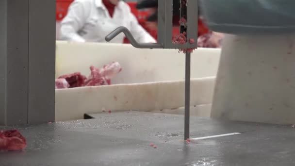 Όρος Βιομηχανία Κρέατος Περιγράφει Σύγχρονη Βιομηχανοποιημένη Κτηνοτροφία Για Την Παραγωγή — Αρχείο Βίντεο