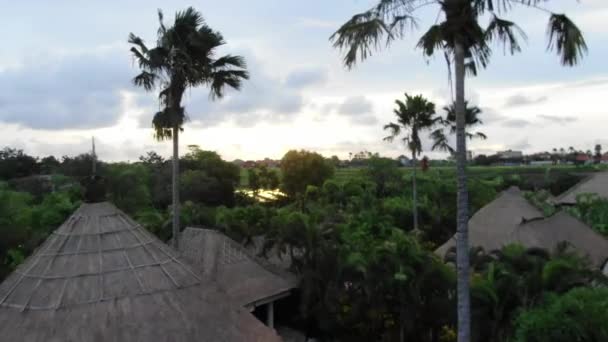 Flying Villa Palm Trees Sunset Bali Indonesia — Stok video