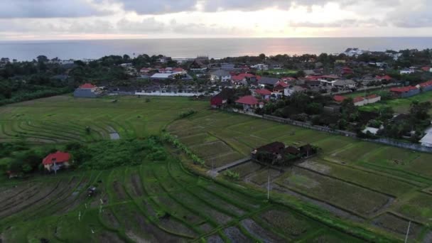 Aerial View Bali Rice Fields Flying Ocean Sunset — Video