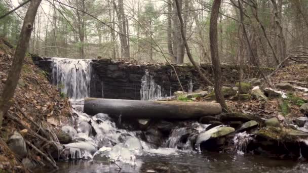 Static Shot Small Waterfall Winter Half Frozen Middle Forrest — Vídeo de Stock