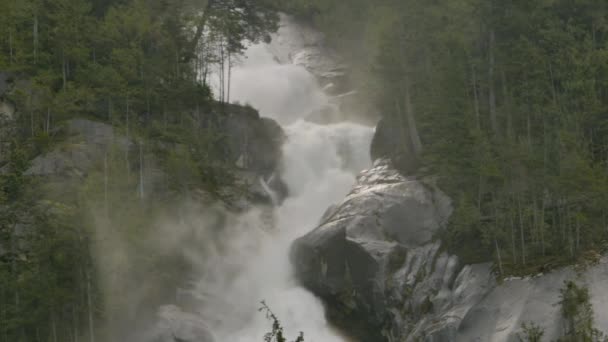 Shannon Falls Pounds Rocks Large Trees Flanking Sides — Vídeo de stock