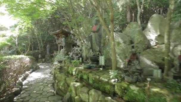 Gardens Daisho Temple Miyajiima — Stock videók