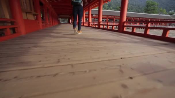 Itsukushima Shrine Walking — Vídeos de Stock
