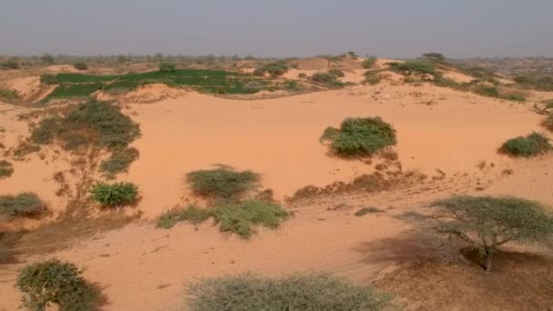 Drone Shot Dunes Senegal Small Oasos — Stok video