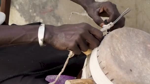 Senegalese Man Skinning Sabar — Stok video