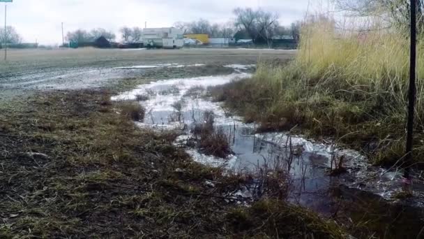 Icy Pond Side Gravel Road Country Next Tree — Vídeos de Stock