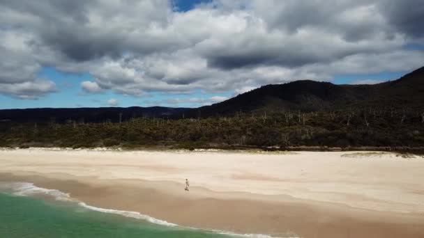 Lost Person Walking Beach White Sand Waves Rolling Tasmania Australia — Stockvideo