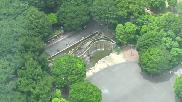 Still Aerial View Close Waterfall Park People — Stok video