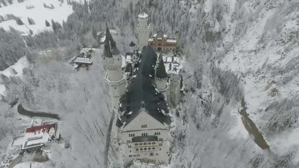 Aerial View Neuschwanstein Flying Schwanstein Castle Poi — Vídeos de Stock