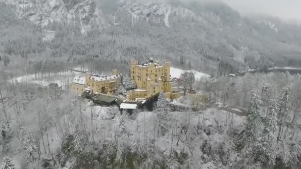 Aerial View Hohenschwangau Straight Flight Winter — 비디오