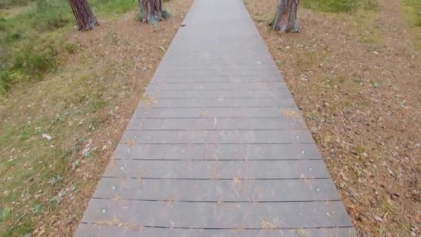 Tilt Shift Wooden Way Canopy Pine Forest Next Sea Coast — Stockvideo