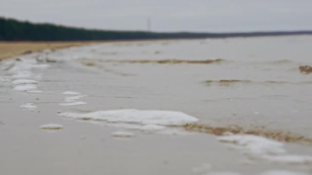 Graphic Baltic Sea Coastline Sand Dunes Automn — Stock video