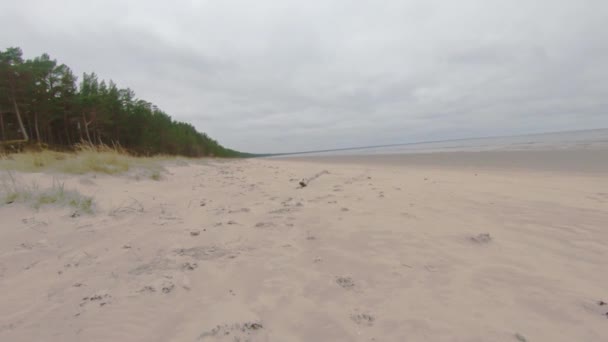 Watching Close Nature Little Bit Sand November Latvian Coast Baltic — Vídeo de stock