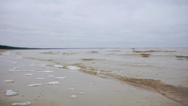 Graphic Baltic Sea Coastline Sand Dunes Automn Pine Forest — Stok video