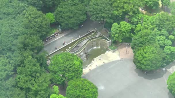 Still Aerial View Close Waterfall Park People — Stock video