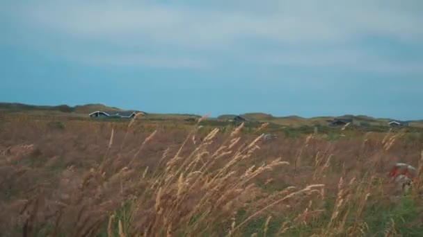 Slow Motion Footage Barley Wind Front Denish Village — Stock video