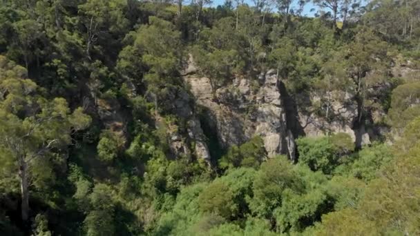 Forward Moving Aerial Shot Deep Canyon Leading Waterfall Bush Australia — Video Stock