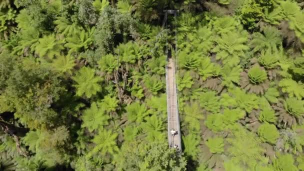 Birds Eye View Aerial People Walking Suspension Bridge Forests Victoria — Stockvideo