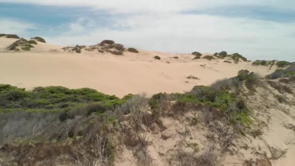 Aerial Shot Big Sand Dunes Victoria Australia — Wideo stockowe